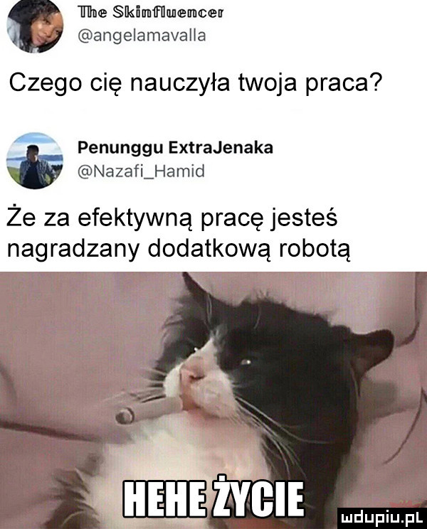 il lane skiwﬂuemcen angelamavalla czego cię nauczyła twoja praca   penunggu extrajenaka nazafi hamid że za efektywną pracę jesteś nagradzany dodatkową robotą