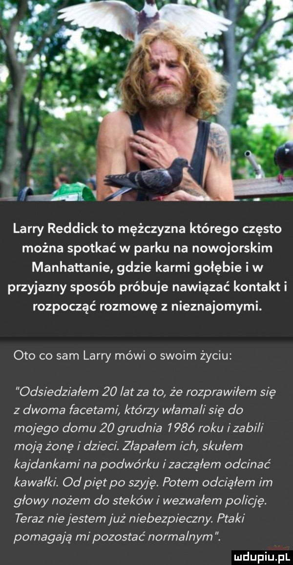 larry roddick to mężczyzna którego często można spotkać w parku na nowojorskim manhattanie gdzie karmi gołębie i w przyjazny sposób próbuje nawiązać kontakti rozpocząć rozmowę z nieznajomymi. oto co sam lajn mówi o swoim życiu odsiedziałem    lat za to że rozprawiłem się z dwoma facetami którzy włamali się do mojego domu    grudnia      roku i zabi i moja żonę i dzieci. złapałem ich skułem kajdankami na podwórku i zacząłem odcinać ka wałki. od pięt po szyję. potem odciąłem im głowy nożem do stekowi wezwałem policję. teraz nie jestem już niebezpieczny. ptaki pomagają mi pozostać normalnym