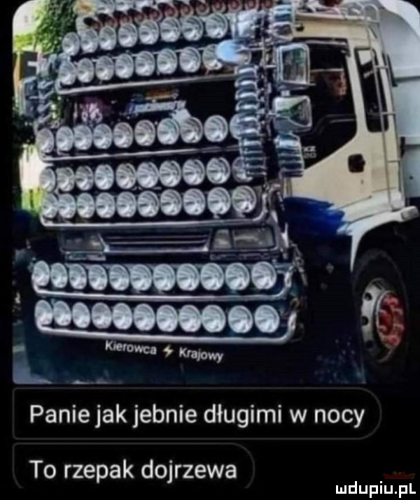 panie jak jebnie długimi w nocy to rzepak dojrzewa