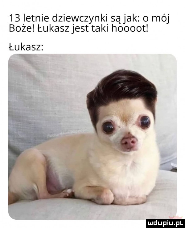 letnie dziewczynki sojak o mój boże łukasz jest taki hoooot ludu iu. l