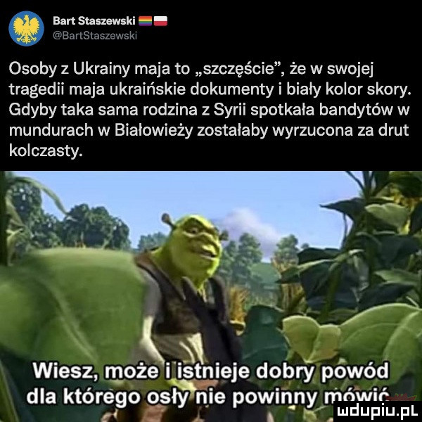 am staszewski osoby z ukrainy maja to szczęścia że w swojej tragedii maja ukraińskie dokumenty i biały kolor skory. gdyby taka sama rodzina z syrii spotkała bandytów w mundurach w białowieży zostałaby wyrzucona za drut kolczasty. wiesz może śmieje dobry powód dla którego osły nie poufinny mura mu f