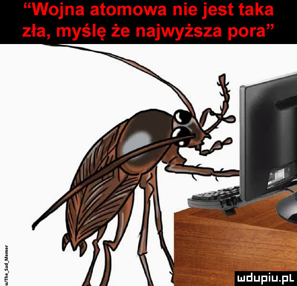 wojna atomowa niejest taka zła myślę że najwyższa pora