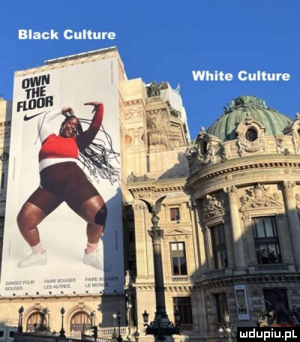 black culture white culture mdﬁtjiufl