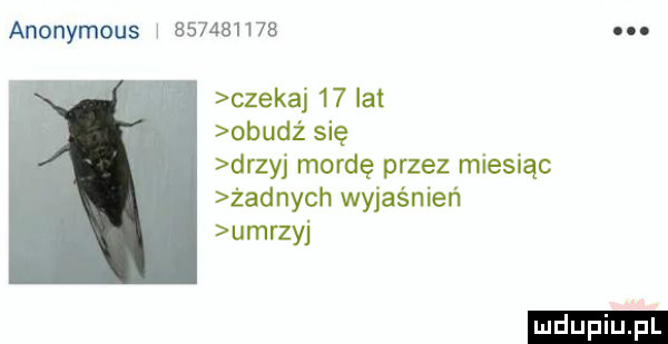 anonymous          . czekaj    lat obudz się drzyj mordę przez miesiąc żadnych wyjaśnień umrzyj