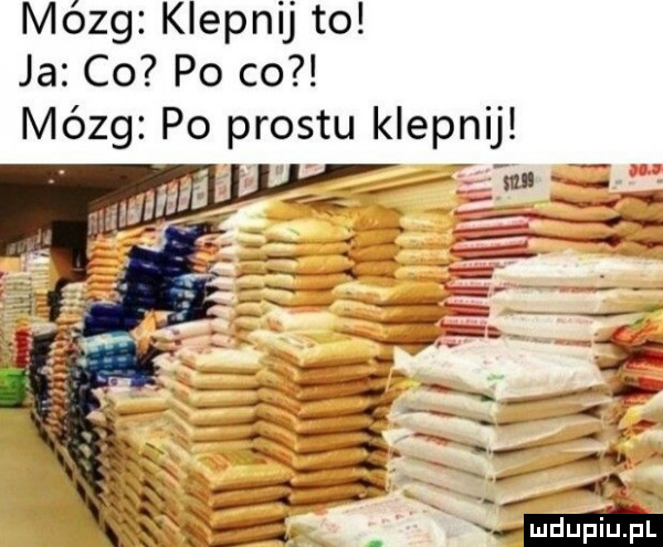 mózg klepnij to ja co po co mózg po prestu klepnij