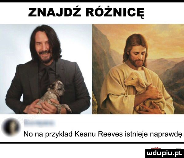 znajdż różnicę na na przykład klanu reeves istnieje naprawdę