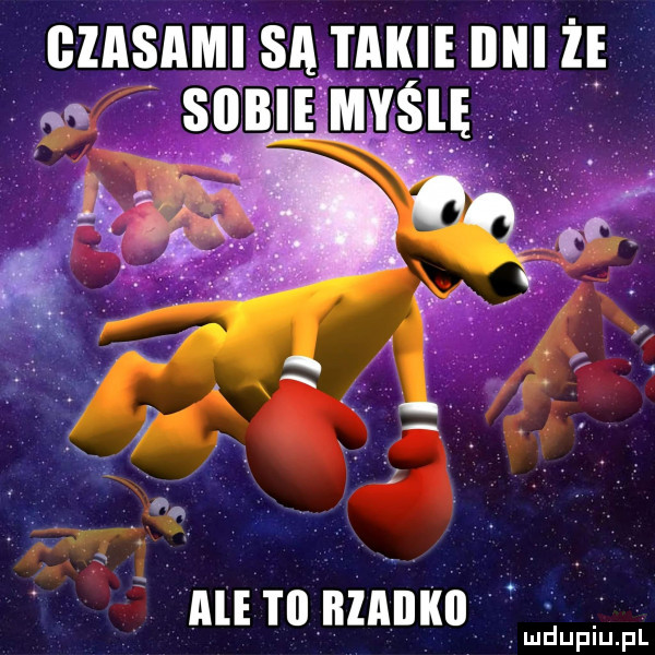 czasami sa i akie dni że ale m mucu