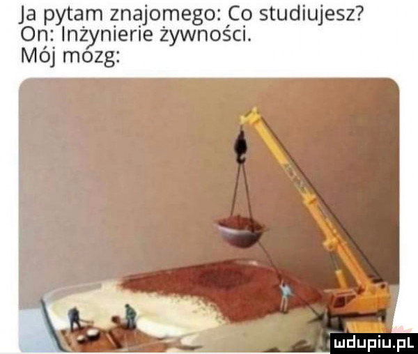 ja pytam gn joségo co studiujesz on inżynlerle żywności. mój mozg