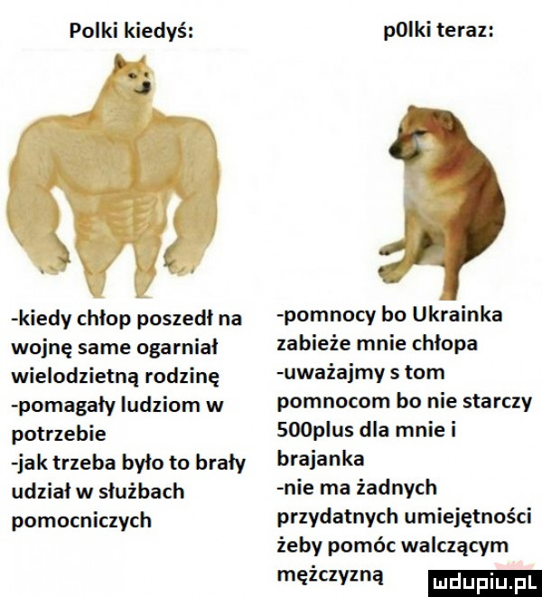 polki kiedyś kiedy chlop poszedl na wojnę same ogarniai wielodzietną rodzinę pomagały ludziom w potrzebie jak trzeba było to brały udział w służbach pomocniczych polki teraz pomnący bo ukrainka zabieźe mnie chłopa uważajmy   tom pomnocom bo nie starczy soopius dla mnie i brejanka nie ma żadnych przydatnych umiejętności żeby pomóc walczącym meżavma