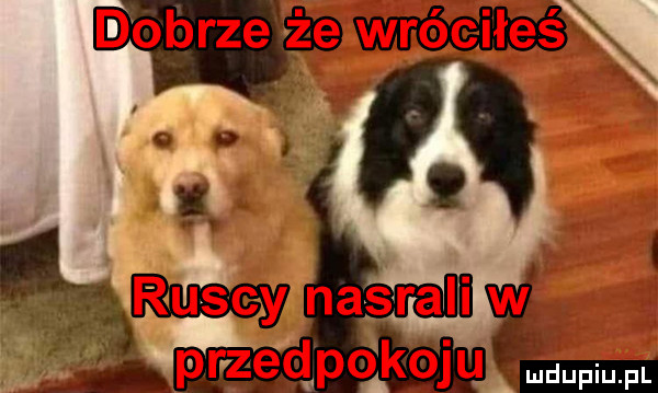 d obrze że wróteiłesxx