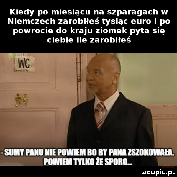 kiedy po miesiącu na szparagach w niemczech zarobiłeś tysiąc euro i po powrocie do kraju ziomek pyta się ciebie ile zarobiłeś s p llllnllil lm i m mam