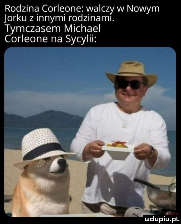 rodzina corleone walczy w nowym jorku z innymi rodzinami. tymczasem michael corleone na sycylii mdupillpl