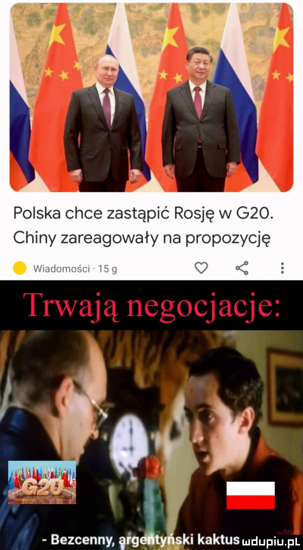 polska chce zastąpić rosję w g  . chiny zareagowały na propozycję bezcenny ąrgdtyński kaktus