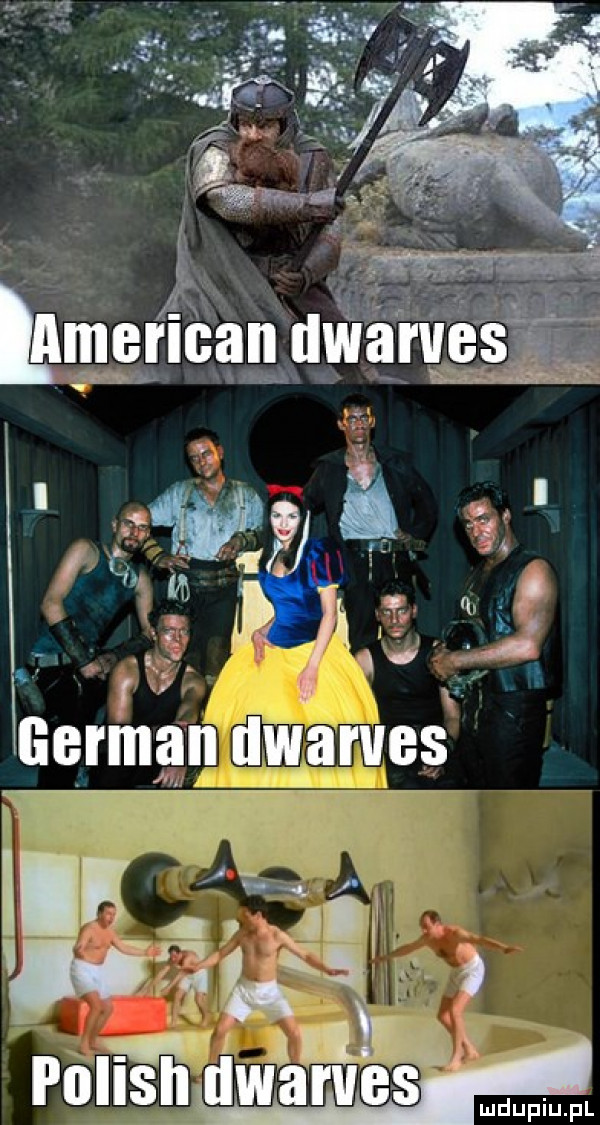 w v   r. abakankami. aan f. v american dwarvesą. m  l t     . abakankami p h jl i r i v m r i german dwarves i. qt