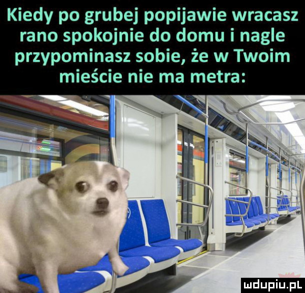 kiedy po grubej popijawie wracasz rano spokojnie do domu i nagle przypominasz sobie że w twoim mieście nie ma metra