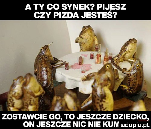 a ty co synek pijesz czy pizda jestes zostawcie go to jeszcze dziecko on jeszcze nbc nie kum ludupiu. pl