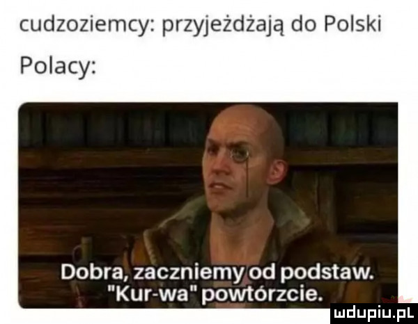 cudzoziemcy przyjeżdżają do polski polacy dobra zaczniemy od podstaw. kur wa powtórzcie