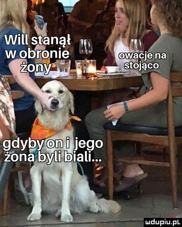 w. w i łl stanął   wab rodle l owacjena. żih fyﬁ ﬁl ﬂ stojąco mdupiupt