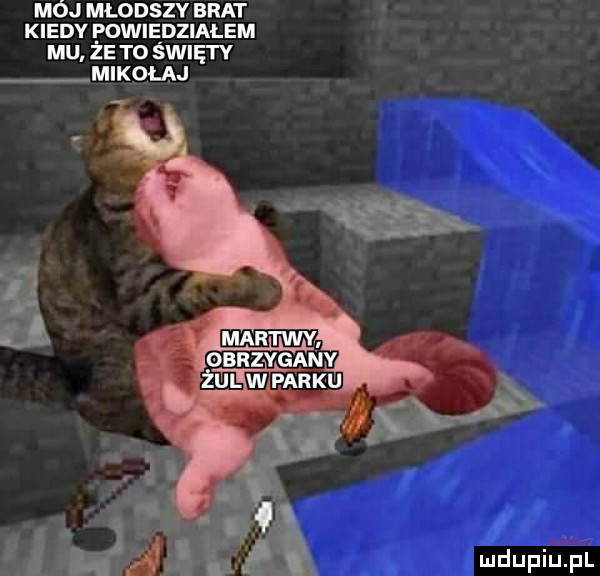 mój młodszy brat kiedy powiedziałem mu ze to spięty mikołaj f