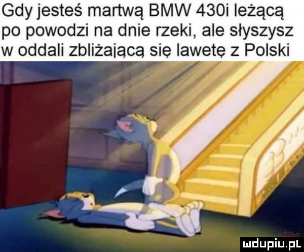 gdy jesteś martwą bmw    i leżącą po powodzi na dnie rzeki ale słyszysz w oddali zbliżaiaca sie lawete z polski i