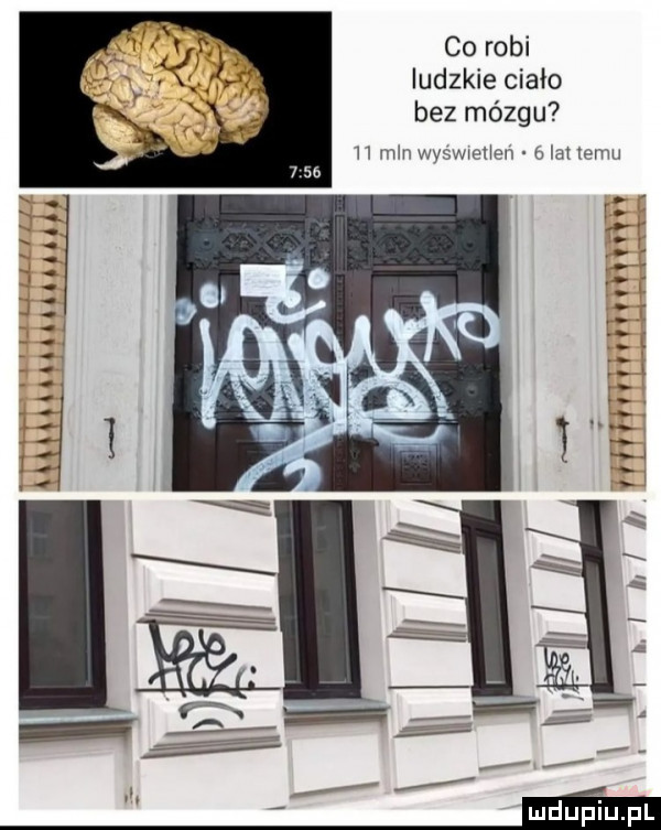 en la wm co robl ludzkie ciało bez mózgu w i mm wywar luau          . x. ź