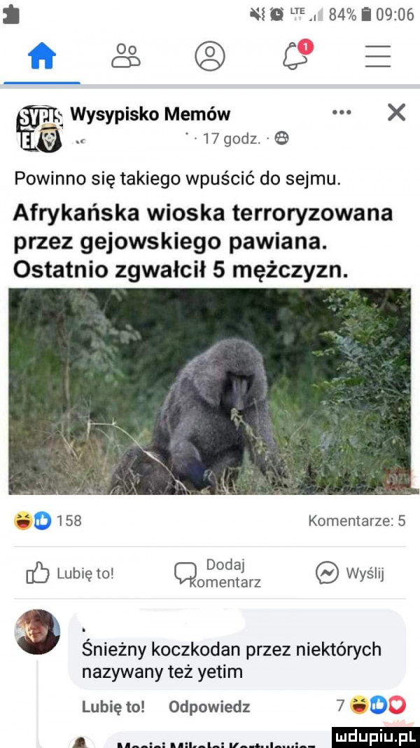 i o    i       c e wysypisko memów x   godzn powinno się takiego wpuścić do sejmu. afrykańska wioska terroryzowana przez gejowskiego pawiana. ostatnio zgwałcił   mężczyzn.     komentarze   dodaj c lunięto cmentarz wysllj. śnieżny koczkodan przez niektórych nazywany też yetim lubię to odpowiedz  . o. n i u