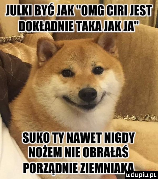 llllki bae idk omg iiibi est dokładnie taka idk ia w siikii i y nawet kigiiy hem kie llbkałaś i iikzaiikie ziemniamee