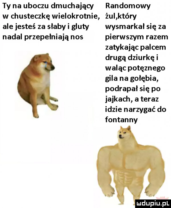 ty na uboczu dmuchający w chusteczkę wielokrotnie ale jesteś za słabli gluty nadal przepełniają nos randomowy żul który wysmarkai się za pierwszym razem zatykając palcem drugą dziurkę i waląc potęzn ego gila na gołębia podrapai się po jajkach a teraz idzie narzygać do fontanny