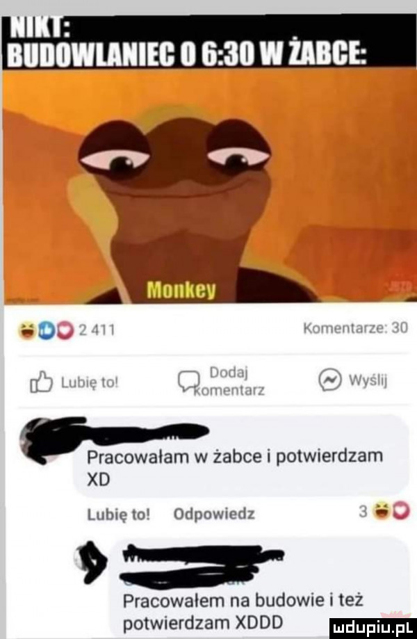 bllllllwlanleb il li    w ube do www w n w i mą fx lr. www w. pracowałam w żabce i potwierdzam xd librę lo odpowiedz ii   pracowalem na budowie i też potwierdzam xddd