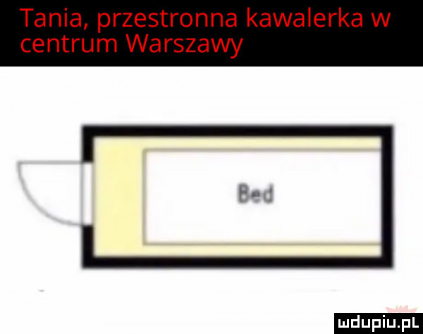 tania przestronna kawalerka w centrum warszawy ludu iu. l