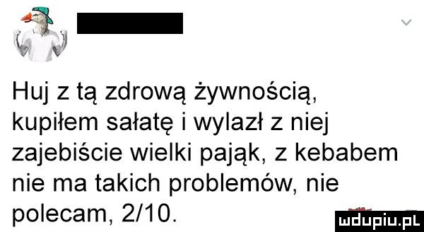 x j huj z tą zdrową żywnością kupiłem sałatę i wylazł z niej zajebiście wielki pająk z kebabem nie ma takich problemów nie polecam