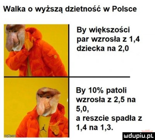 walka o wyższą dzietność w polsce by większości par wzrosła z     ł dziecka na     by    patoli wzrosla z     na   v     a reszcie spadła z     na    . m