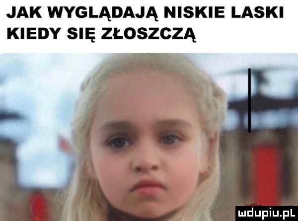 jak wyglądają niskie laski kiedy się złoszczą
