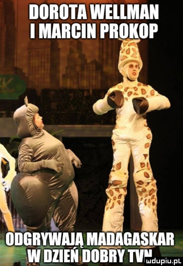 illllllli a weilmaii i marcin i iiokoi e illllillywala madagaskar w iizieii iiiibiiy hm fl