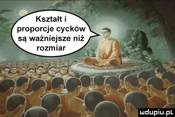 proporcje cycków. są ważniejsze niż rozmiar