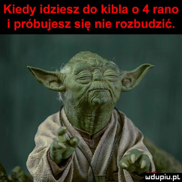 kiedy idziesz do kibla o   rano i próbujesz się nie rozbudzić. i.   l