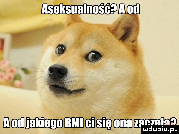 nv    mul nam miriam