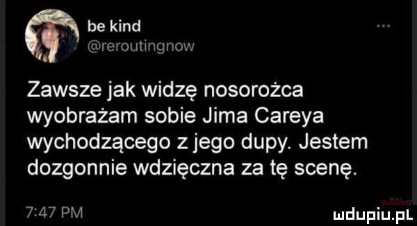 be kand reroutingnow zawsze jak widzę nosorożca wyobrażam sobie jima careya wychodzącego z jego dupy. jestem dozgonnie wdzięczna za tę scenę.      pm