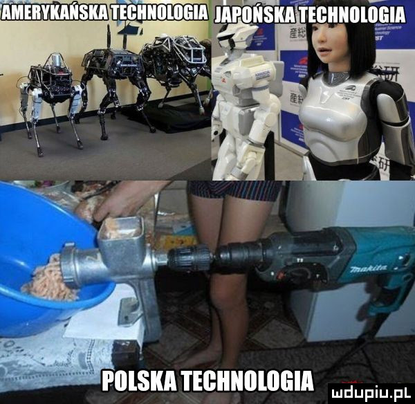 pieski i eﬂllllllllllilll md upiupl