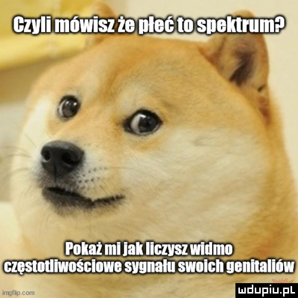 pokaż mi lak msz lllll mo częslntllmśćlom sygnalu swolcll unnnńllńw