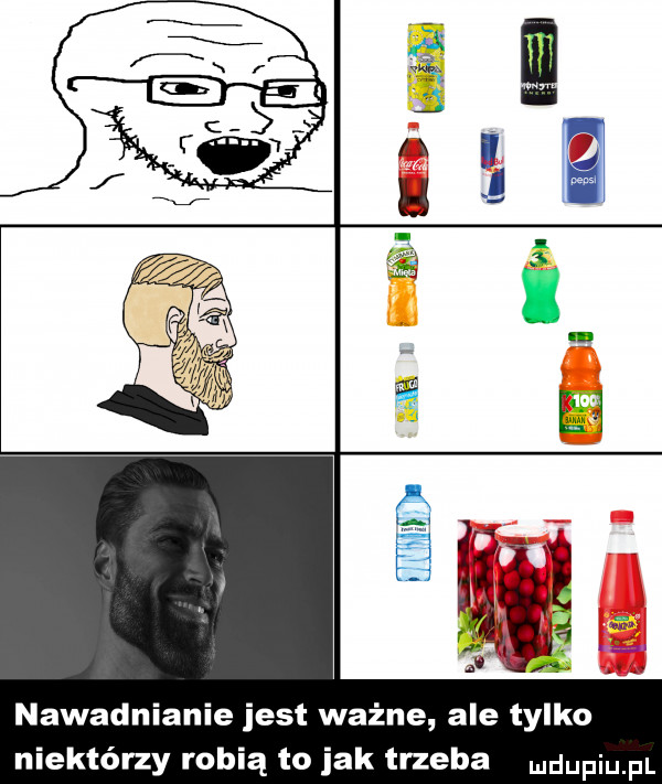 nawadnianie jest ważne ale tylko niektórzy robią to jak trzeba ndupiu pl