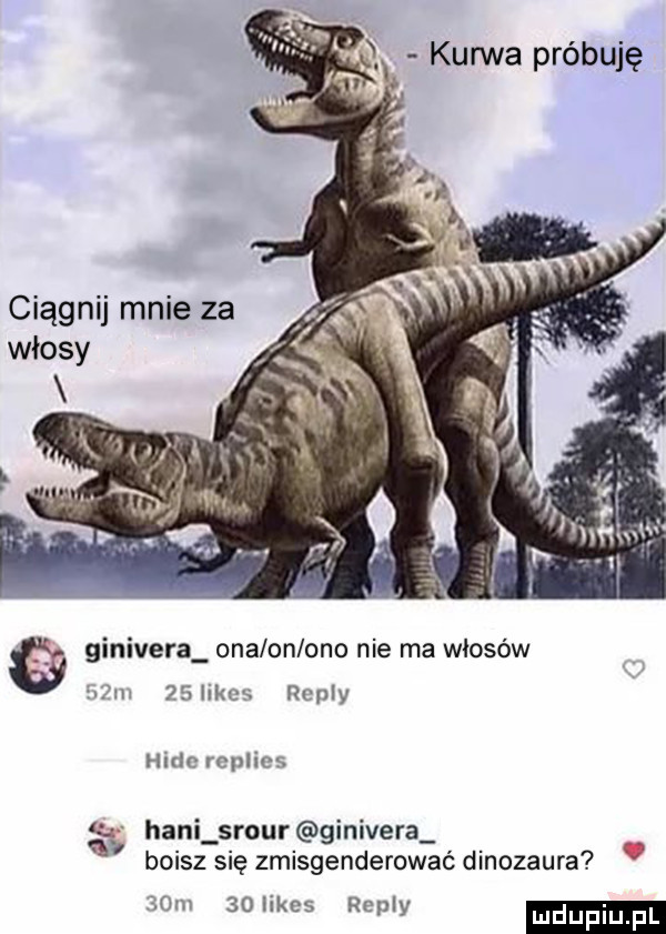 o x kurwa próbuję ciągnij mnie za włosy i. ginivera ona on ono nie ma włosów z m    st rumy hide replies hani srour ginivera boisz się zmisgenderować dinozaura mm  o limes repry