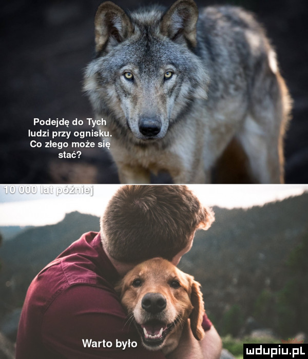 podejdę do  w  ludzi przy oguis co zlego może s słać b l warto bylo dupqul