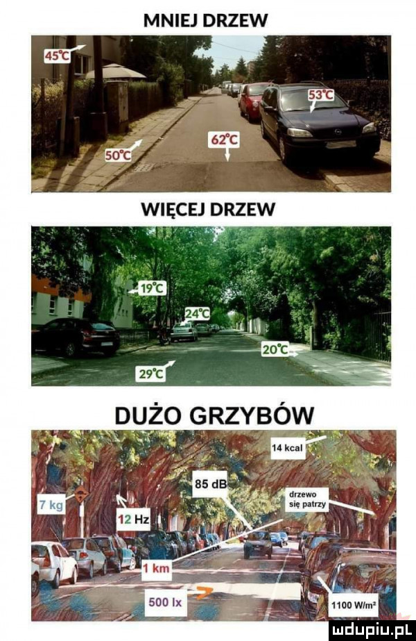 mniej drzew va mdﬁpiupl