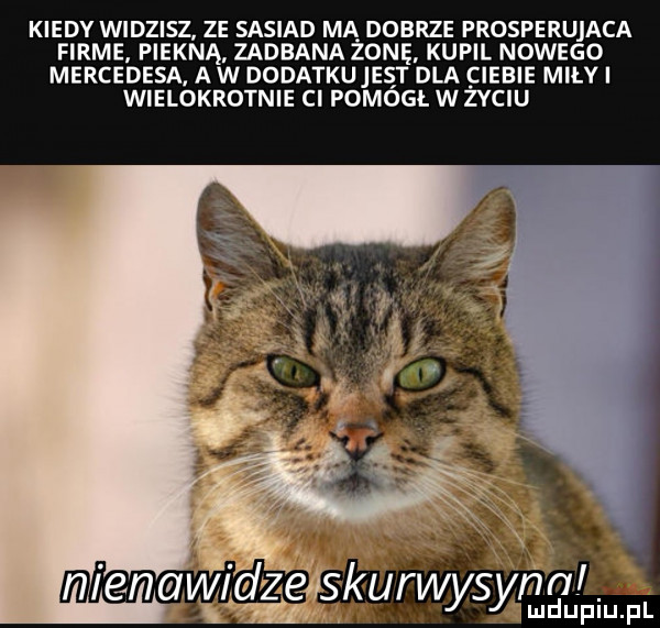 kiedy widzisz ze sasiad mą dobrze prosperujaca firme. piękną. zadbana zone kupil nowego mercedesa. a w dodatkujes dla ciebie miłki wielokrotnie ci pomógł w zyciu nienawidrze squwysygjgpim