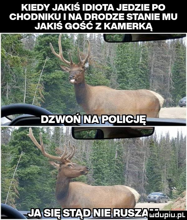 kiedy jakiś idiota jedzie po chodnikl i na d rodze stanie mu jakis gosc z kamerką