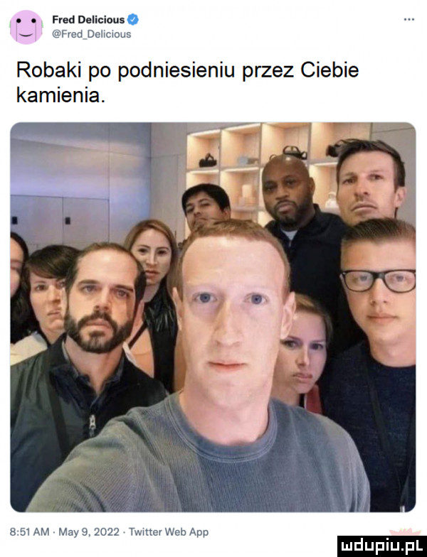abakankami fred diiicious v fdd dehuoug robaki po podniesieniu przez ciebie kamienia. ssi xm mayoqgqq wnerwehapp