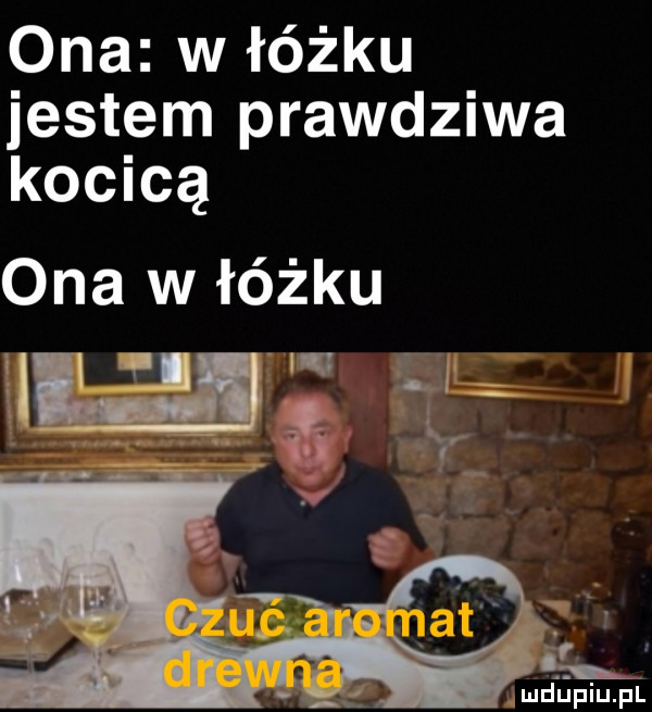 ona w łóżku jestem prawdziwa kocicą ona w łóżku  g ql r md ﬁpiupi