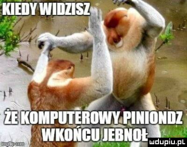 wxouclmmotl ludupiu. pl