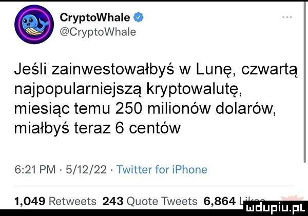 cryptowhale o cryptowhale jeśli zainwestowałbyś w lunę czwartą najpopularniejszą kryptowalutę miesiąc temu     milionów dolarów miałbyś teraz   centów      pm         twitter for iphone       retweets     quote tweets